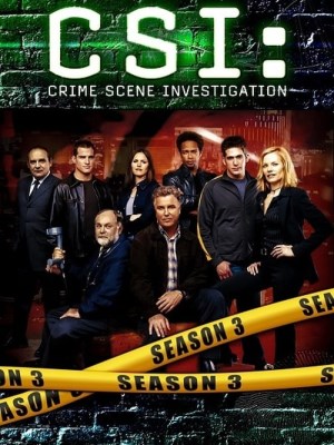 CSI: Đội Điều Tra Hiện Trường (Mùa 3)